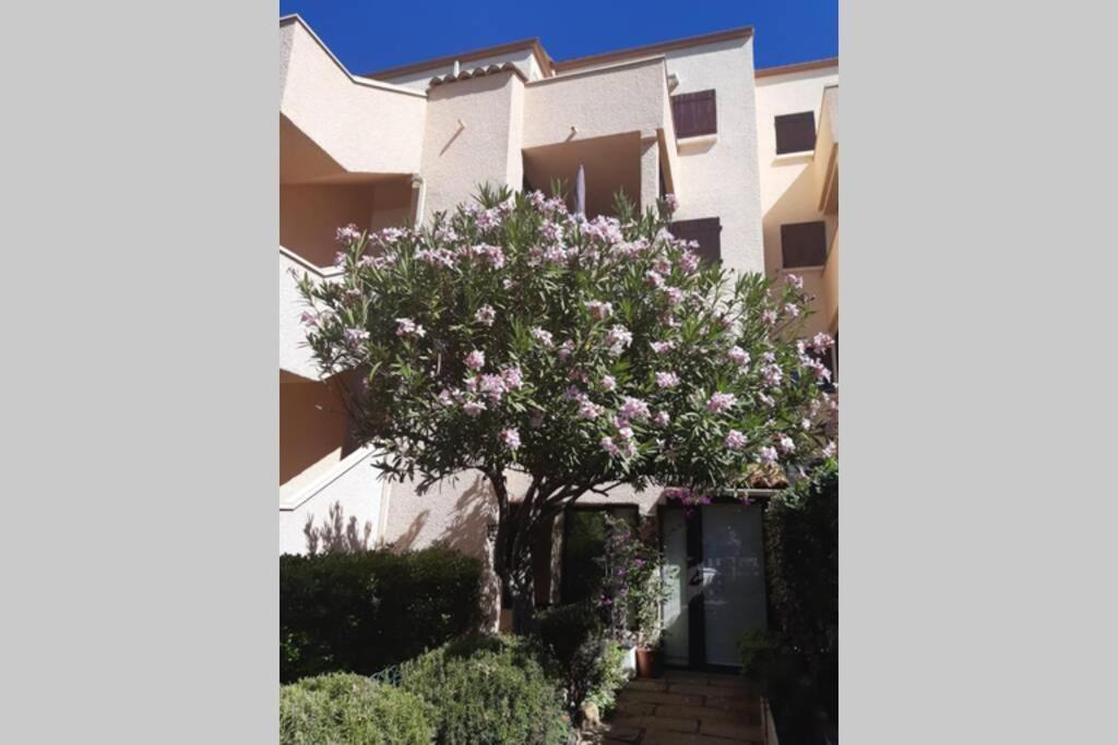 Appartement calme Entre Terre et Mer proche plage Fleury  Extérieur photo